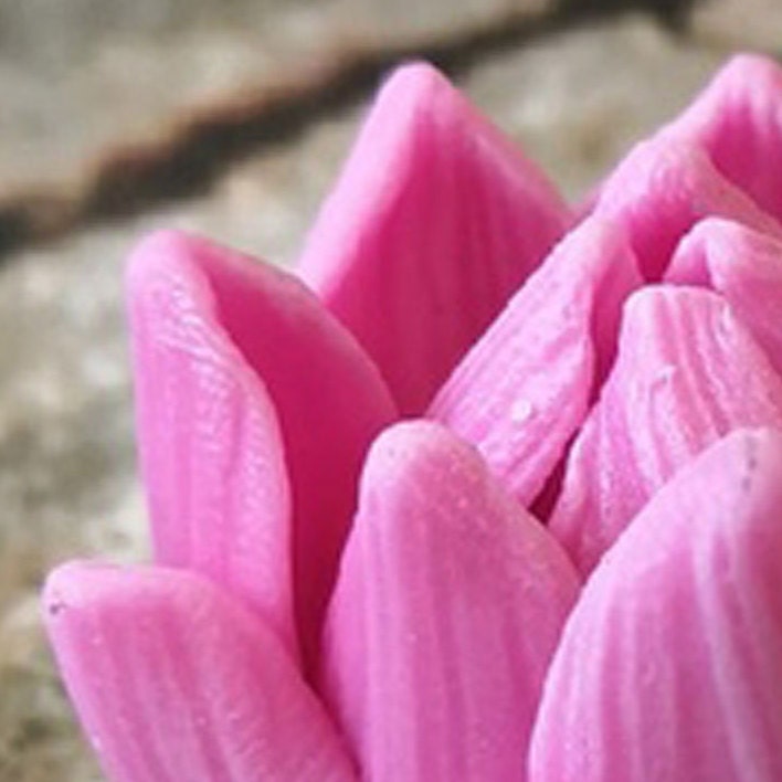 Aster bud flower silicone mold (mould) for soap making and candle making
