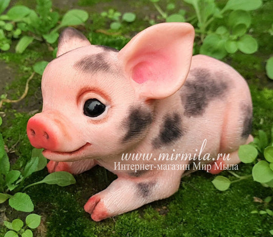 Funny pig Silicone Soap Mold - for soap making, Craft & Hobby
