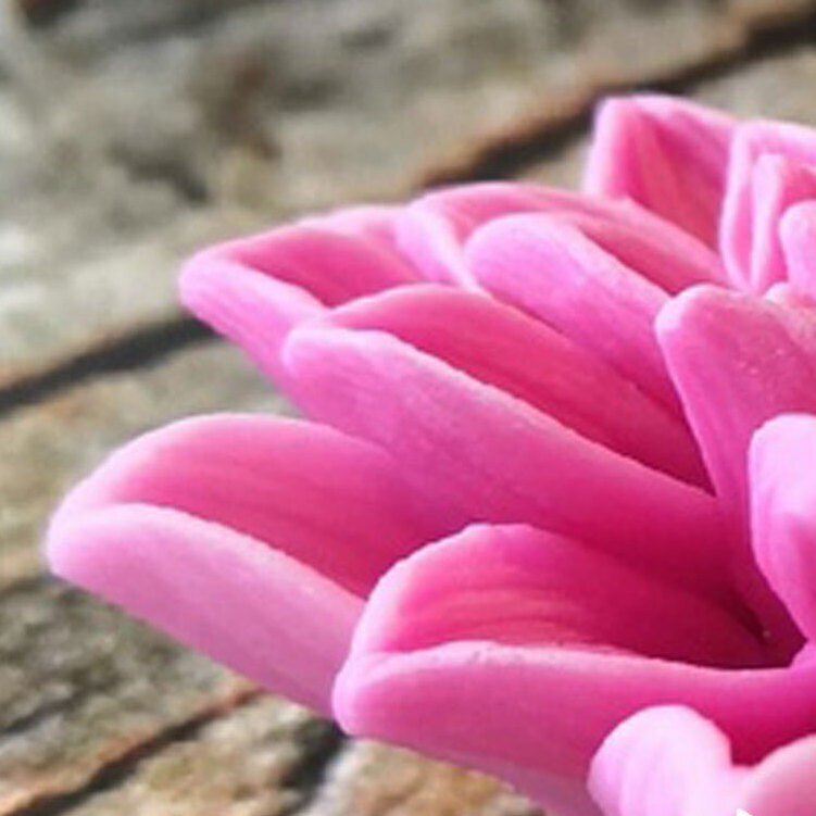 Aster flower silicone mold (mould) for soap making and candle making