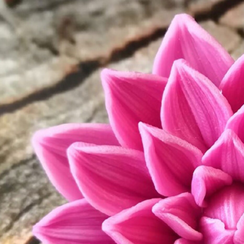 Aster flower silicone mold (mould) for soap making and candle making