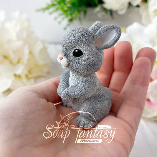 Easter bunny Silicone Soap Mold - for soap making, Craft & Hobby