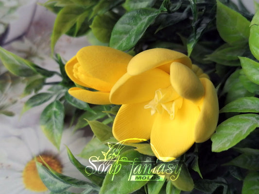 Crocus buds Silicone Soap Mold - for soap making, Craft & Hobby