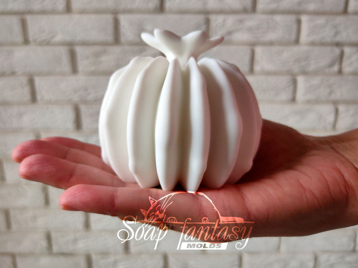 Big Cactus (Echinopsis) silicone mold (mould) for soap making and candle making