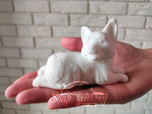 Welsh Corgi Silicone Soap Mold - for soap making, Craft & Hobby