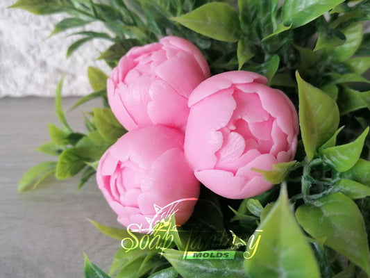 Peony buds triplet "Sweet Harmony" Silicone Soap Mold - for soap making, Craft & Hobby