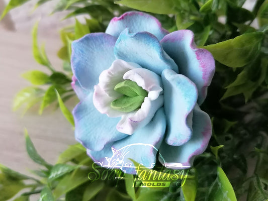 Delphinium grandiflorum Silicone Soap Mold - for soap making, Craft & Hobby