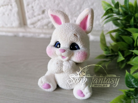 Cheerful bunny Silicone Soap Mold - for soap making, Craft & Hobby