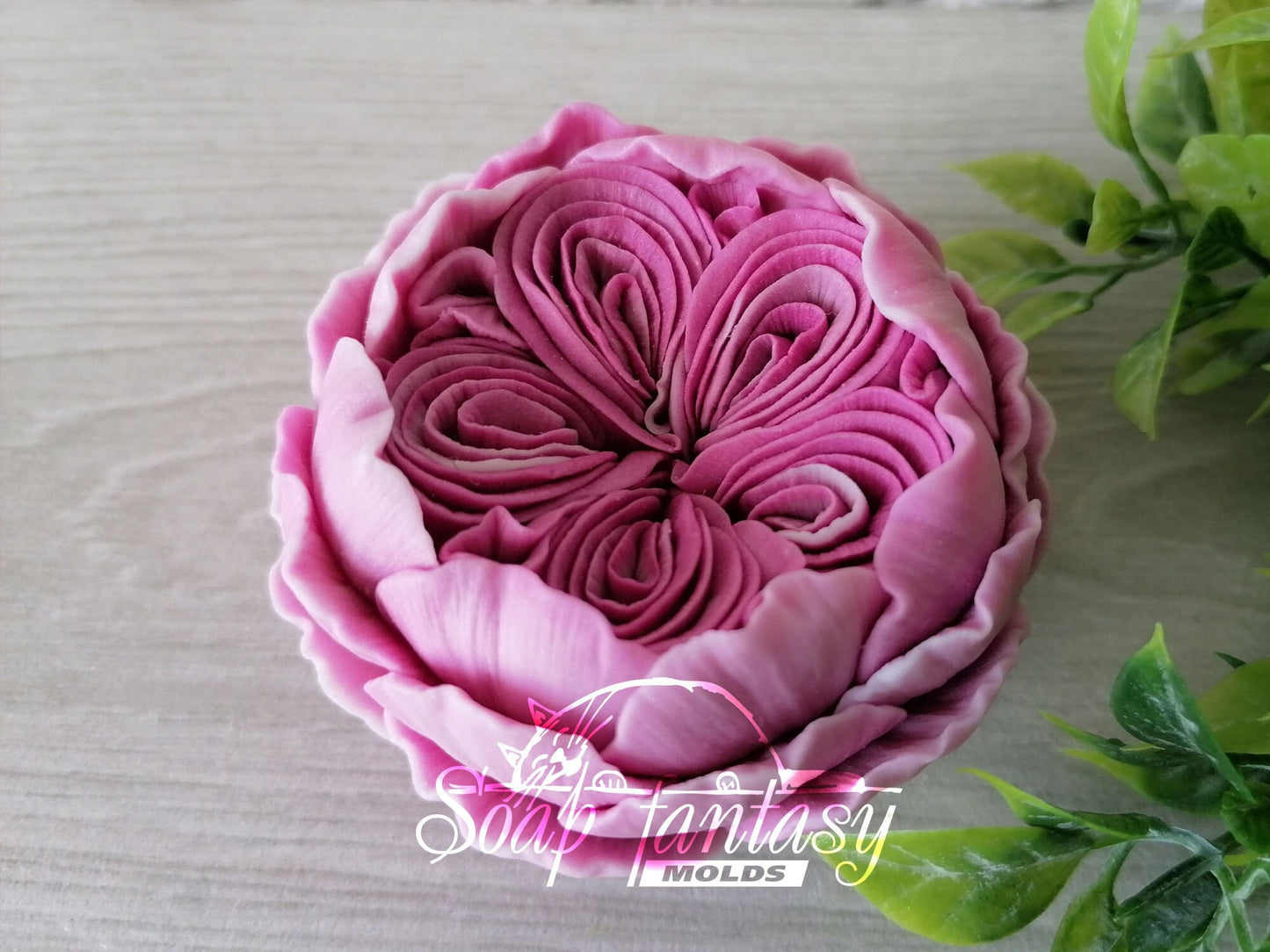 Austin English Rose flower silicone mold (mould) for soap making and candle making