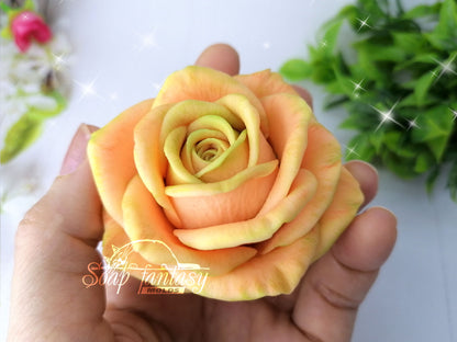 Half opened rose Symphony silicone mold for soap making