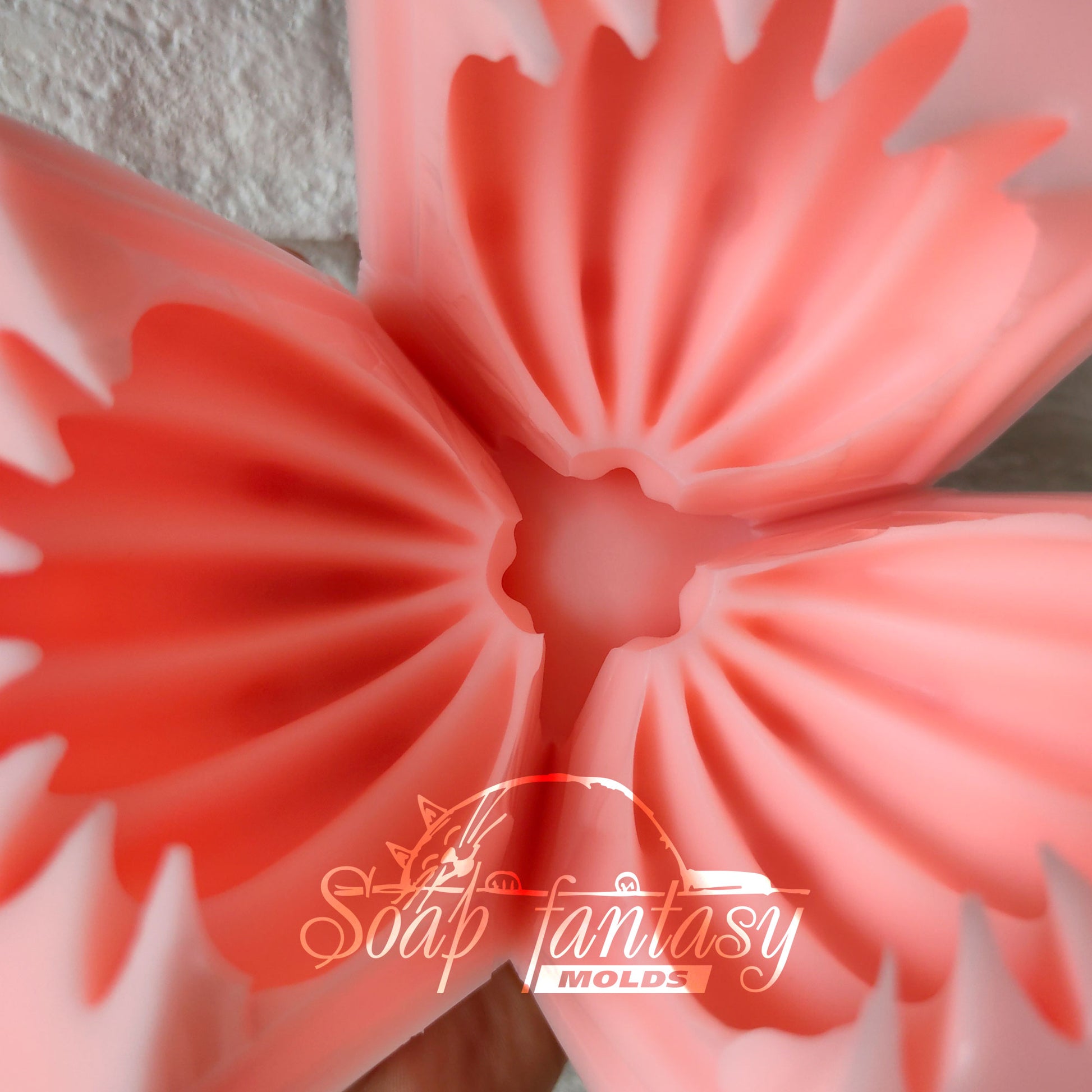 Big Cactus (Echinopsis) silicone mold (mould) for soap making and candle making