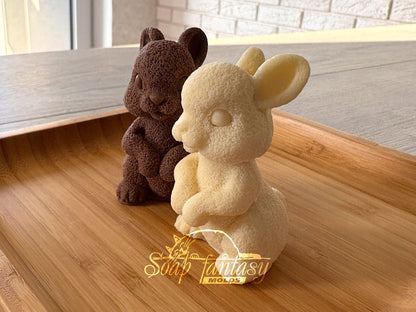 Chocolate Silicone Mold – Easter Bunny – Food Grade Silicone Mold for food art
