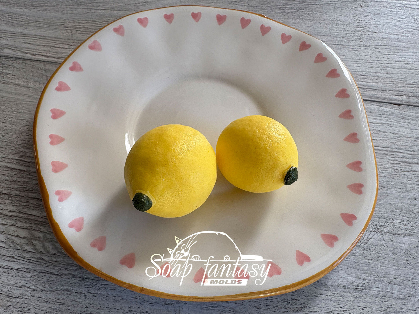 Citrus Silicone Mold 