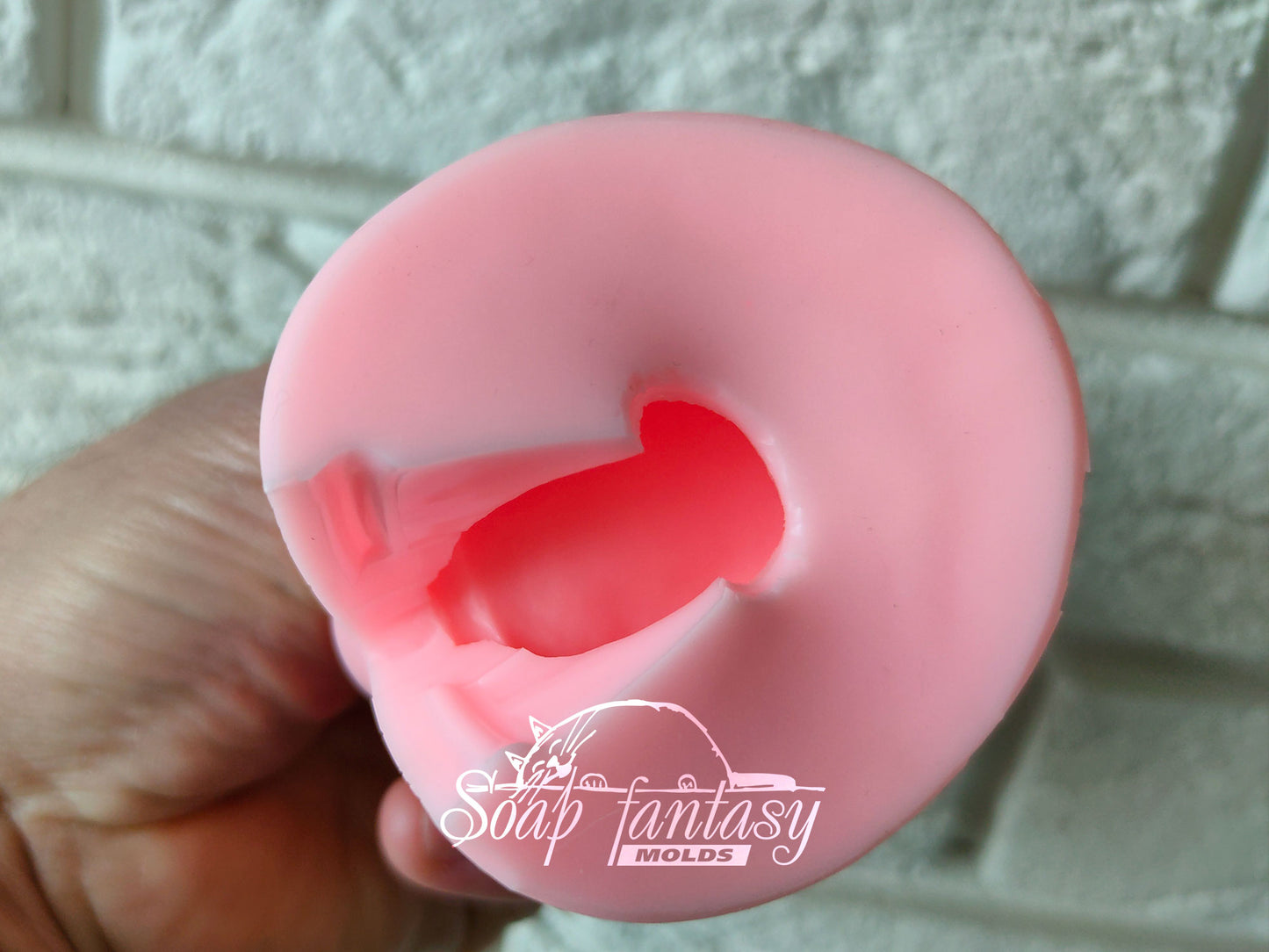 Citrus Silicone Mold 