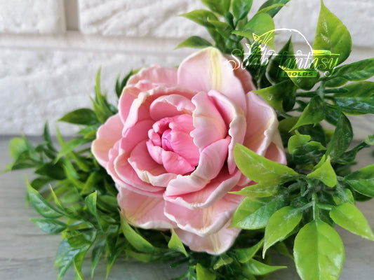 Big Peony Tulip Silicone Soap Mold