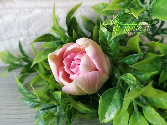 Peony Tulip Bud Silicone Mold