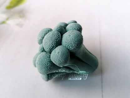 Silver Brunia plants silicone mold for soap making