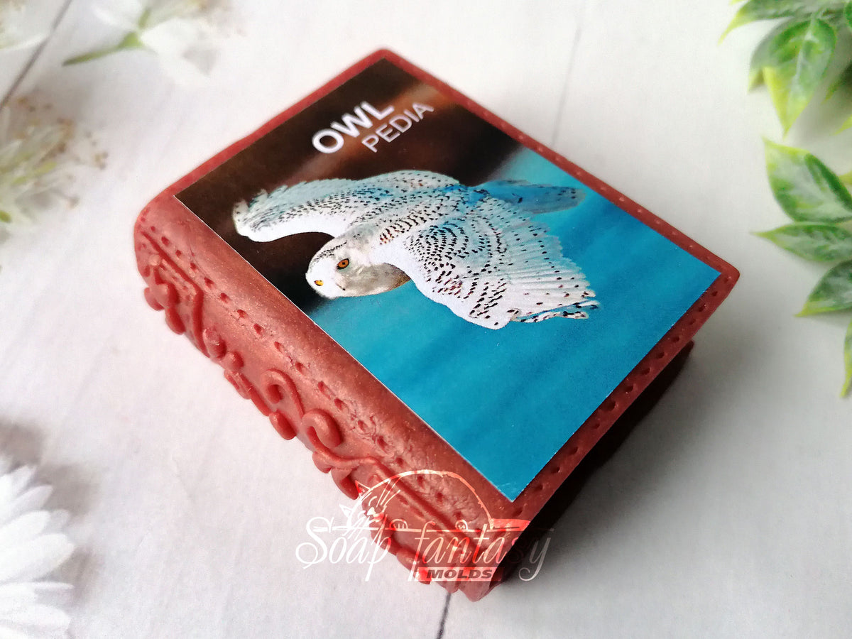 Book Silicone Soap Mold - for soap making, Craft & Hobby