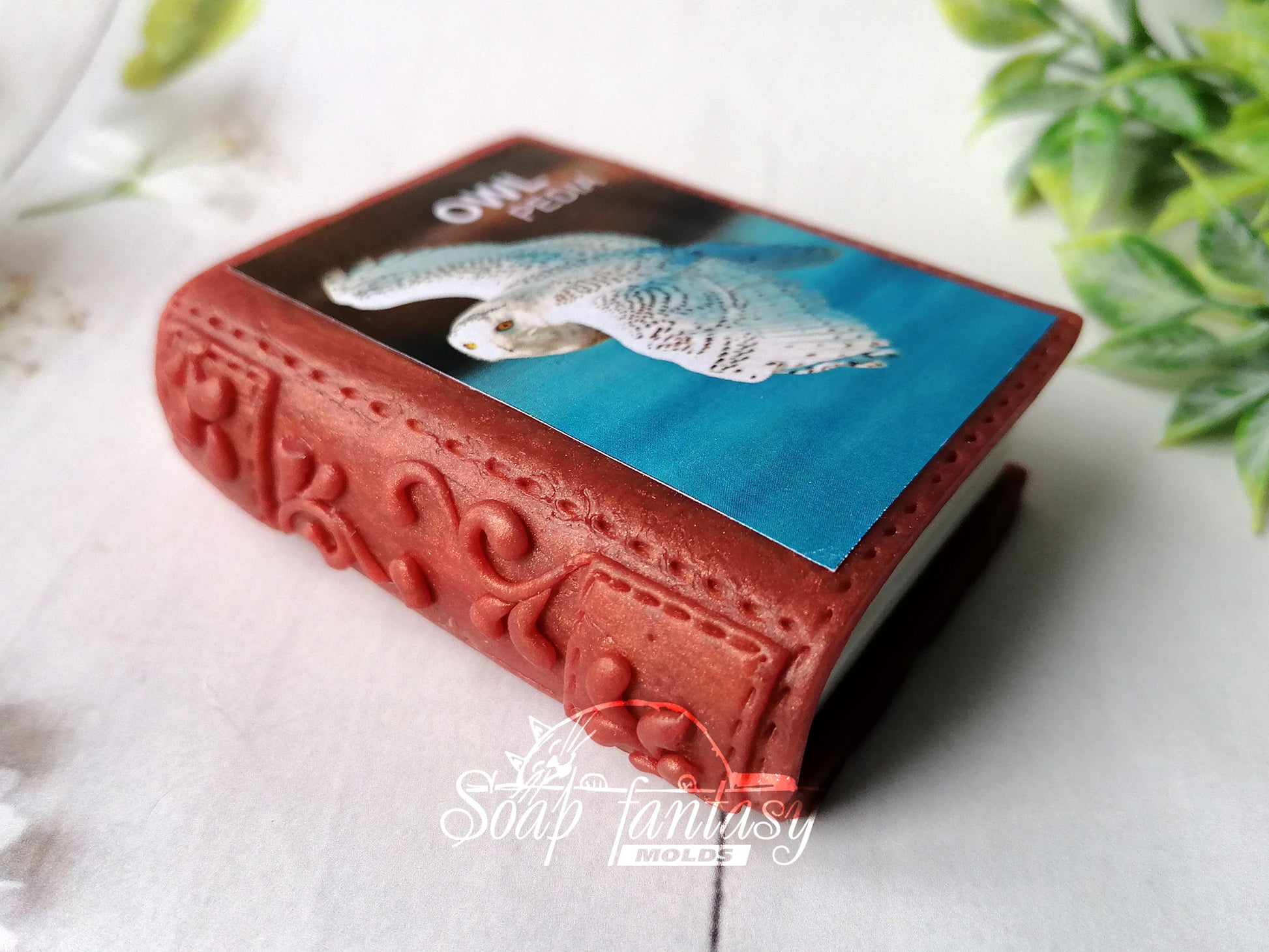Book Silicone Soap Mold - for soap making, Craft & Hobby