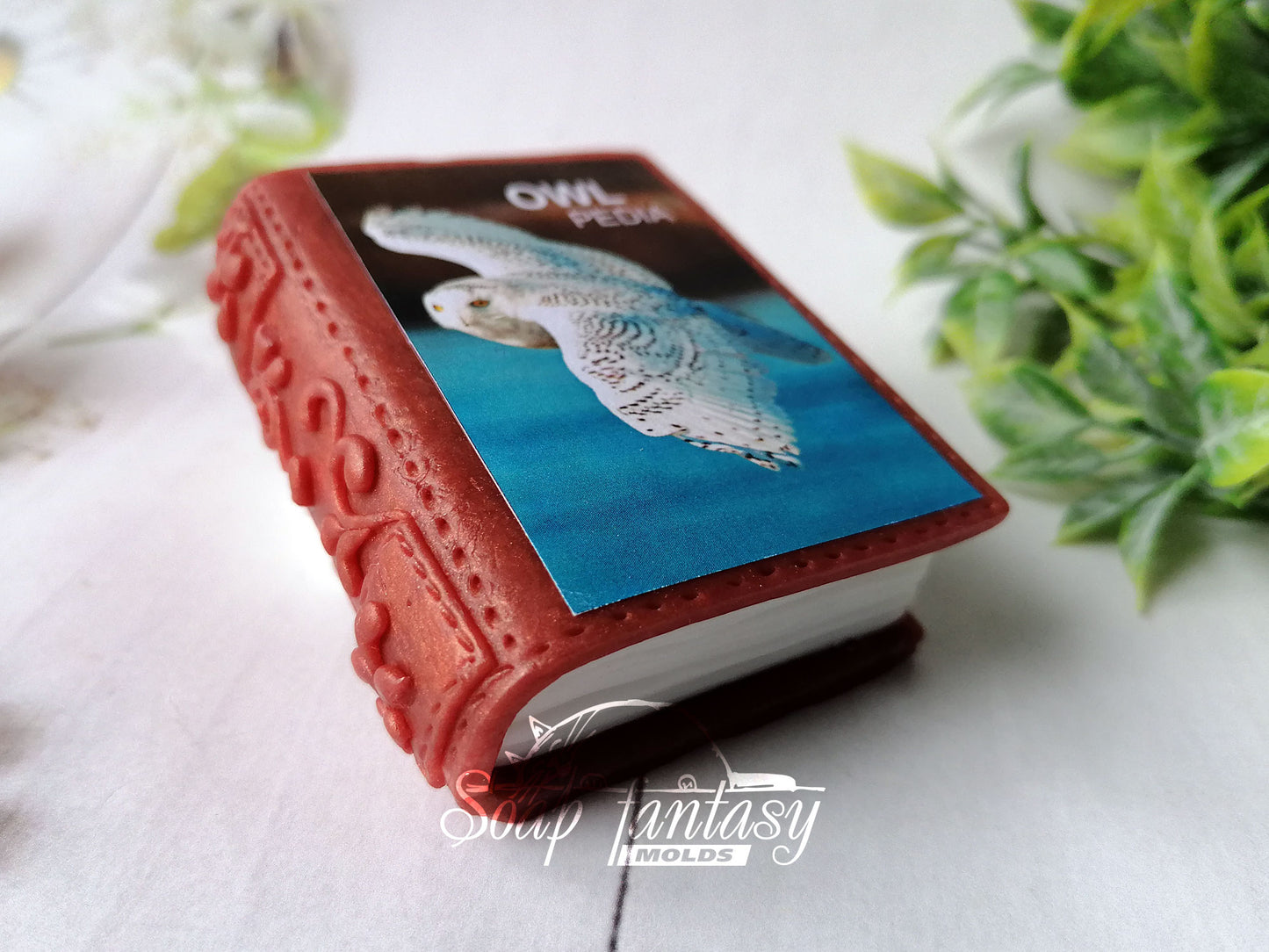 Book Silicone Soap Mold - for soap making, Craft & Hobby