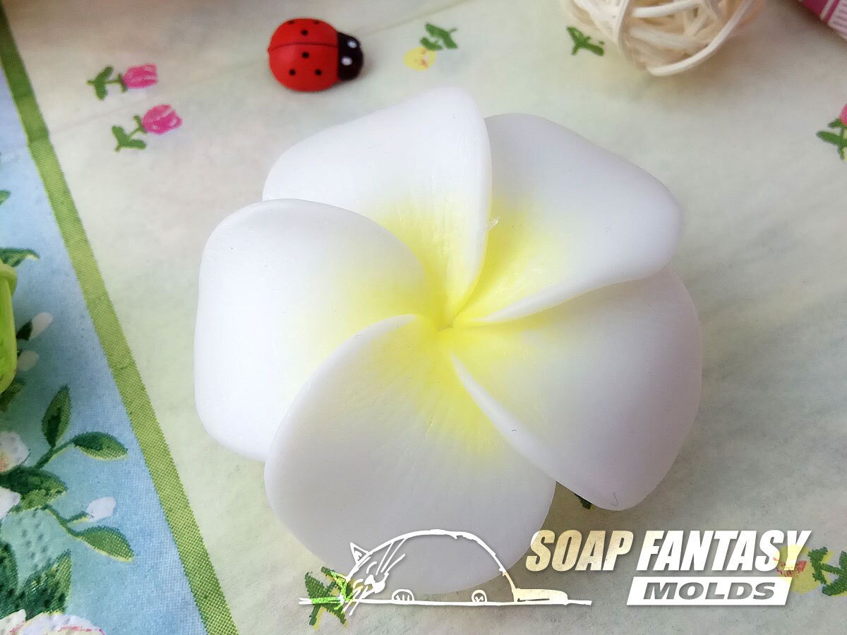 Plumeria flower silicone mold for soap making