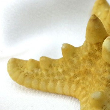Sea Star (Starfish) silicone mold for soap making