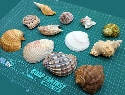 Sea shell #3 silicone mold for soap making