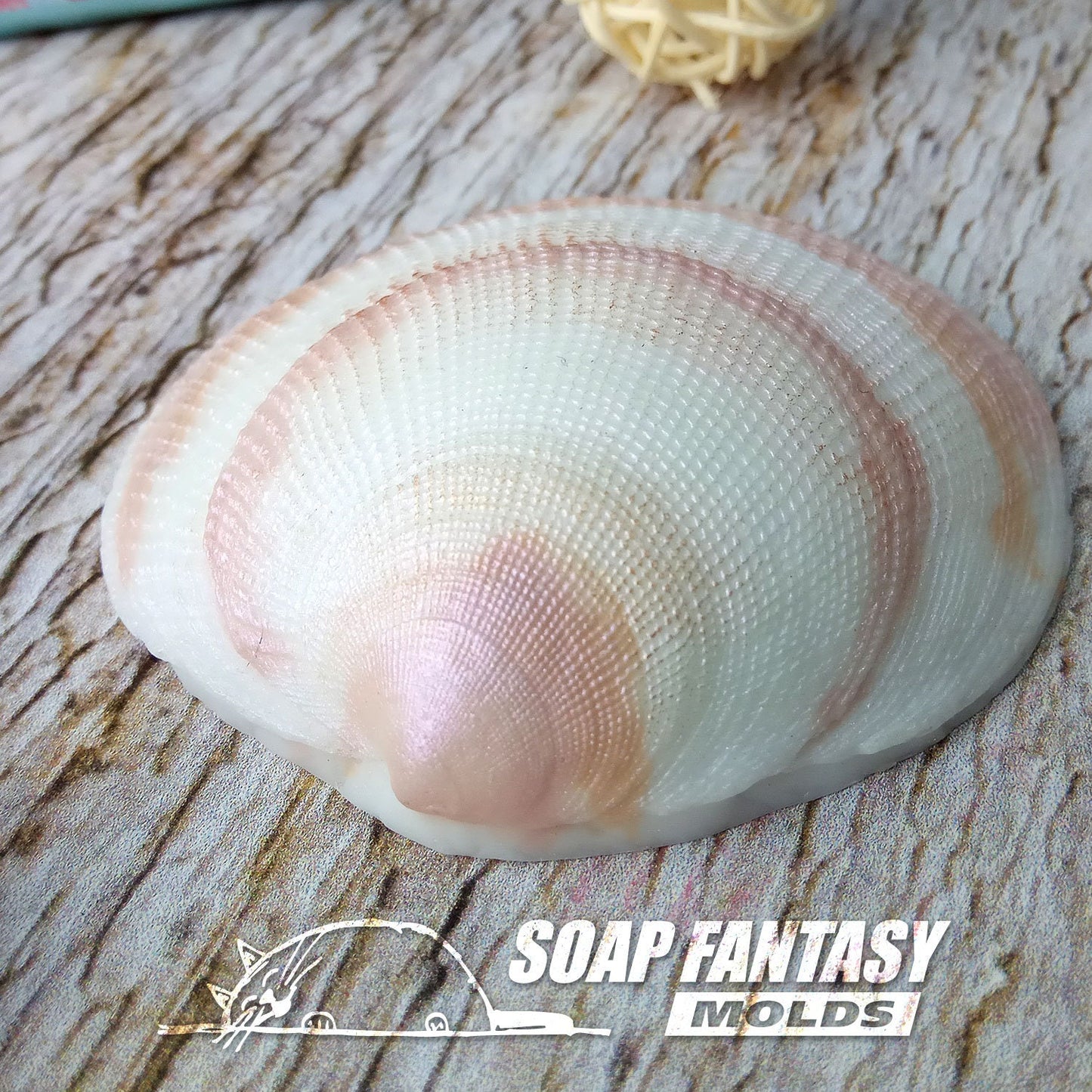 Seashell #6 silicone mold for soap making