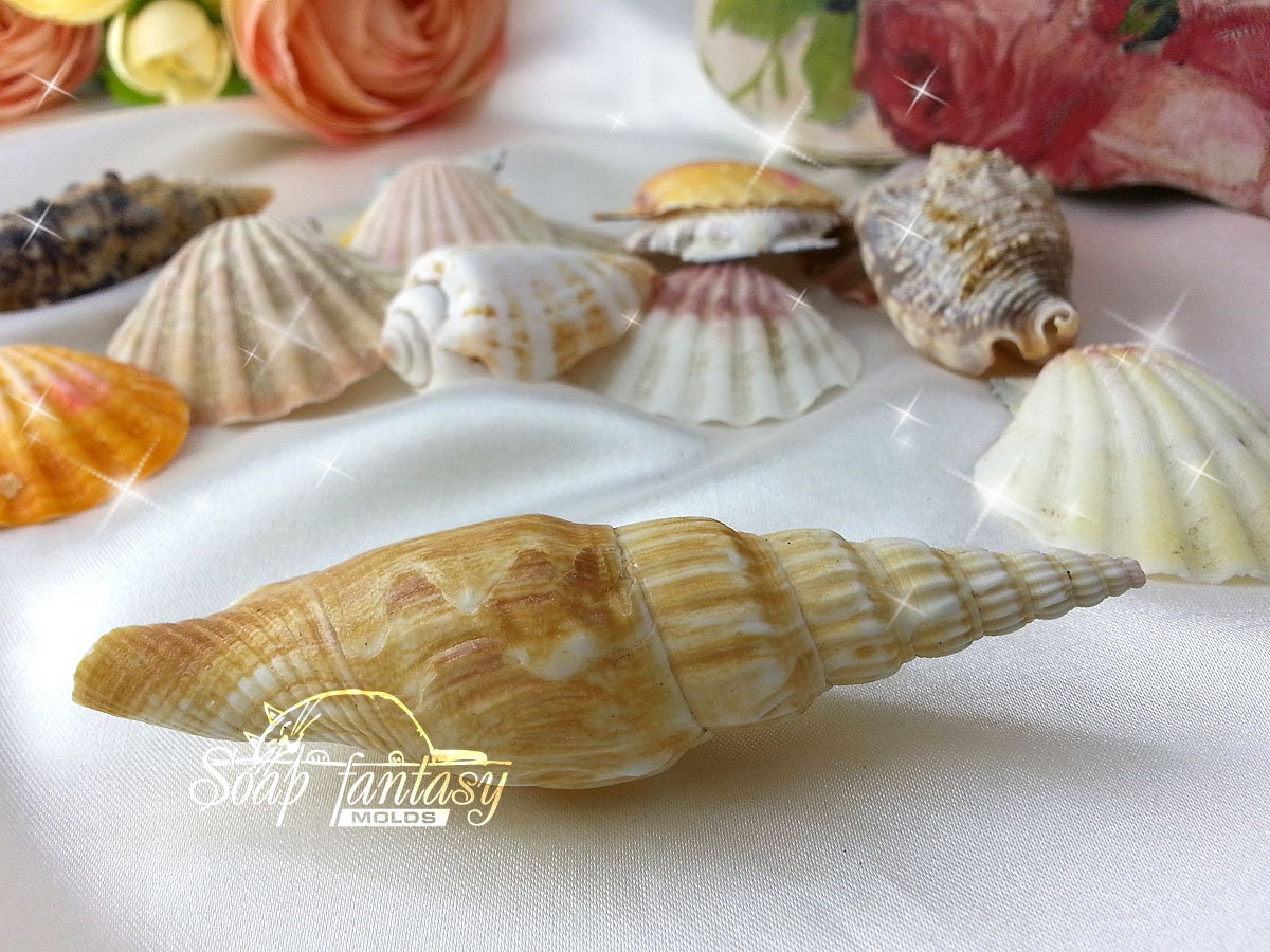 Sea shell #12 silicone mold for soap making