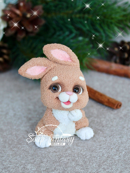 Ding Ding Bunny silicone mold for soap making