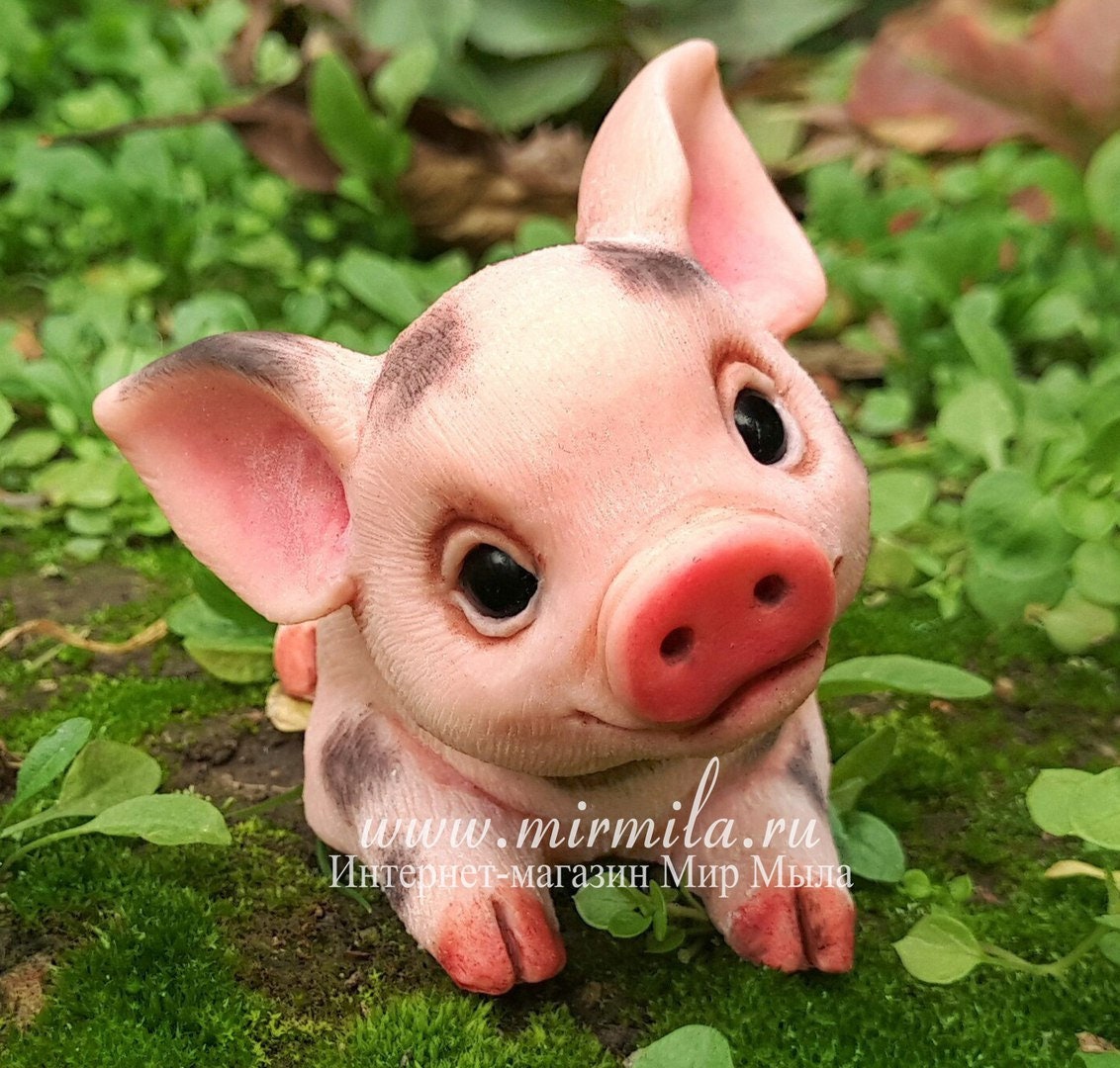 Funny pig silicone mold for soap making